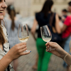 Letní procházka Znojmem s ochutnávkou vín #19