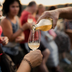 Letní procházka Znojmem s ochutnávkou vín #12